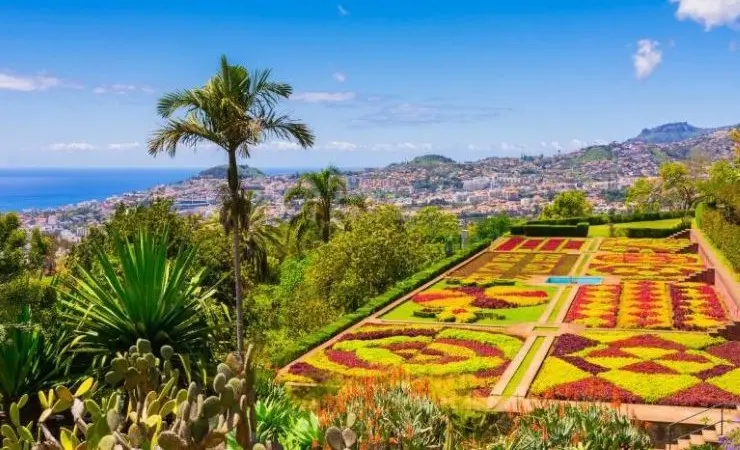 madeira-03.webp